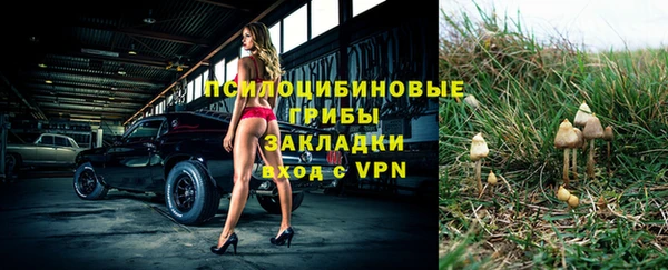a pvp Володарск