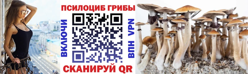 Купить где  Старица  Псилоцибиновые грибы мухоморы 